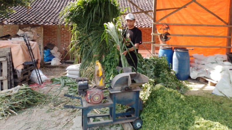 Kisah Pengusaha Pakan Ternak dari Ponorogo Ini Buktikan KUR BRI Bisa Bikin Usaha Berkembang