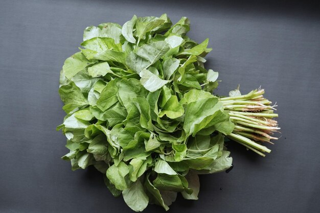 Waspada! 5 Jenis Makanan yang Menghalangi Penyerapan Kalsium dalam Tubuh