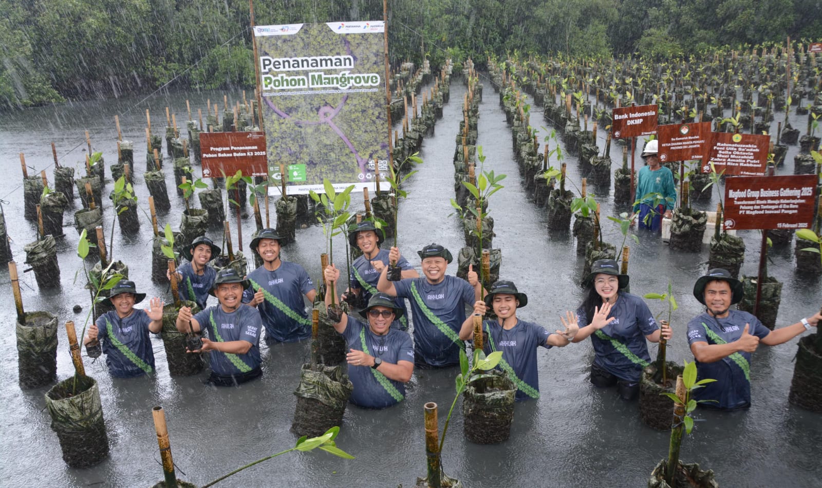 Pertamina Drilling Tanam 1.000 Pohon Mangrove untuk Kelestarian Alam dan Masyarakat Pesisir