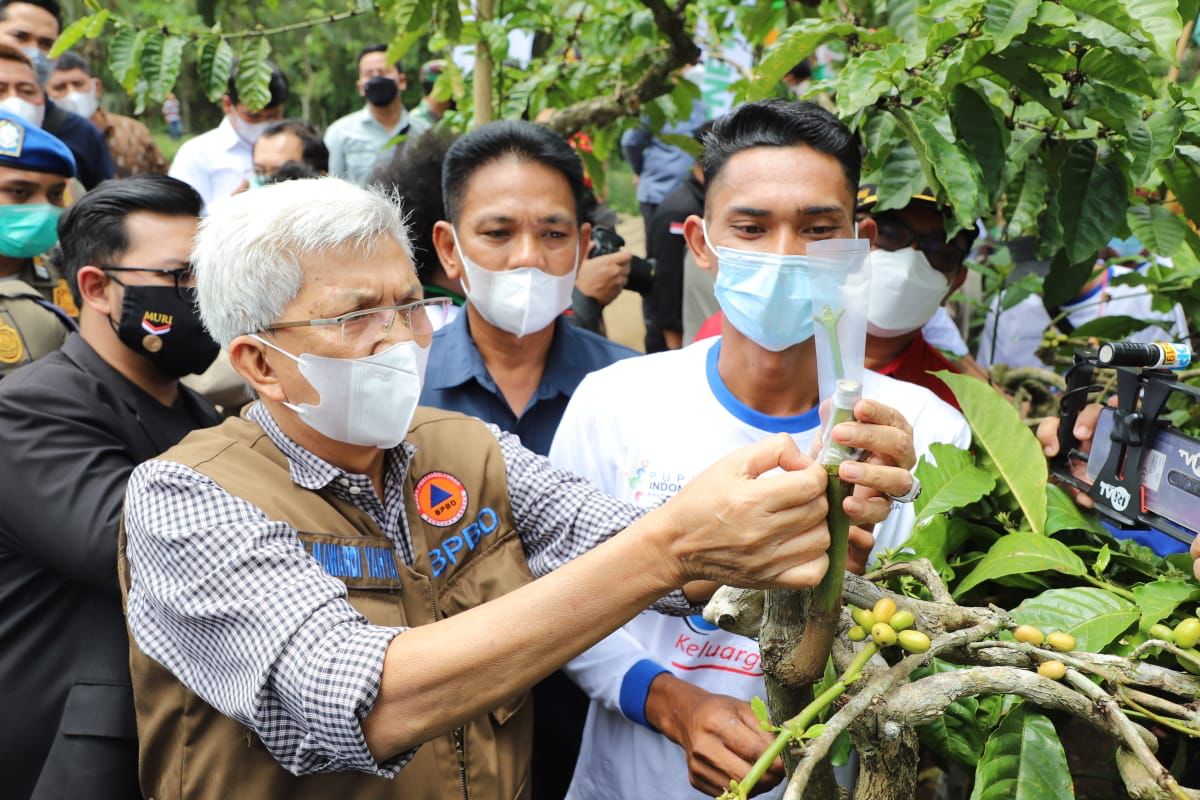 Launching Gerakan Satu Juta Stek Batang Pucuk Kopi