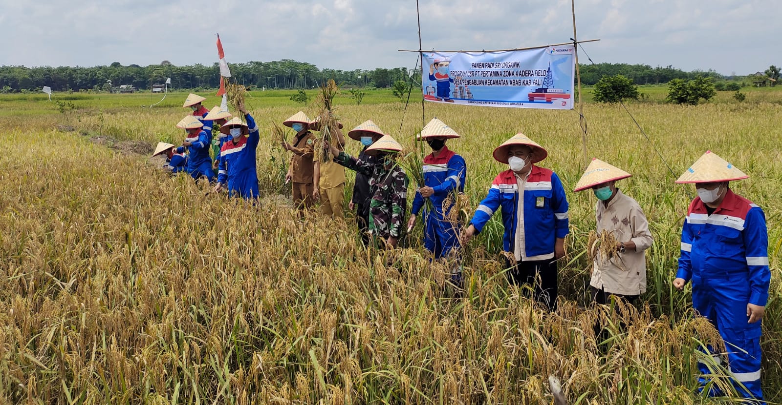 PHR Zona 4 Field Adera Bersama Mitra Binaan CSR Kembali Panen