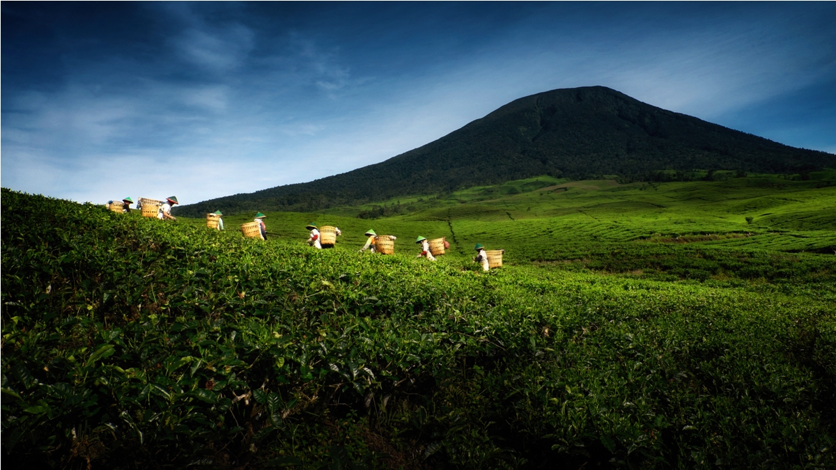 Aktivitas Pendakian Gunung Dempo Pagaralam Ditutup Sementara