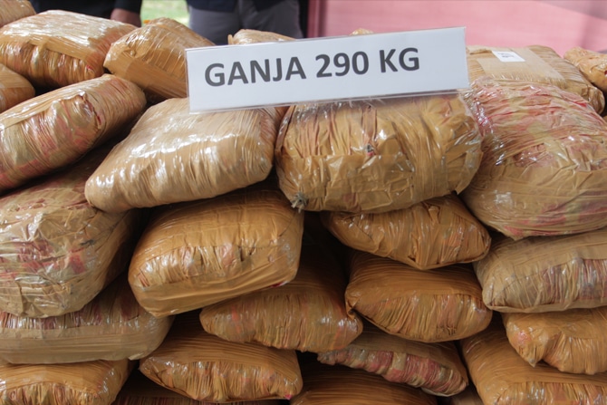 Kronologi Penangungkapan 279 Kg Ganja Jaringan Lintas Sumatera-Jawa