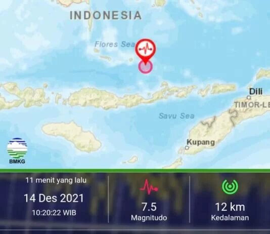 Gempa 7.4 Magnitudo Guncang NTT, BMKG Keluarkan Potensi Tsunami