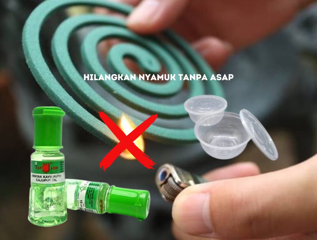 Takut dengan Asap Obat Nyamuk Bakar Karena Bikin Sesak? Tenang, Ini Tips Ampuh Basmi Nyamuk Nakal