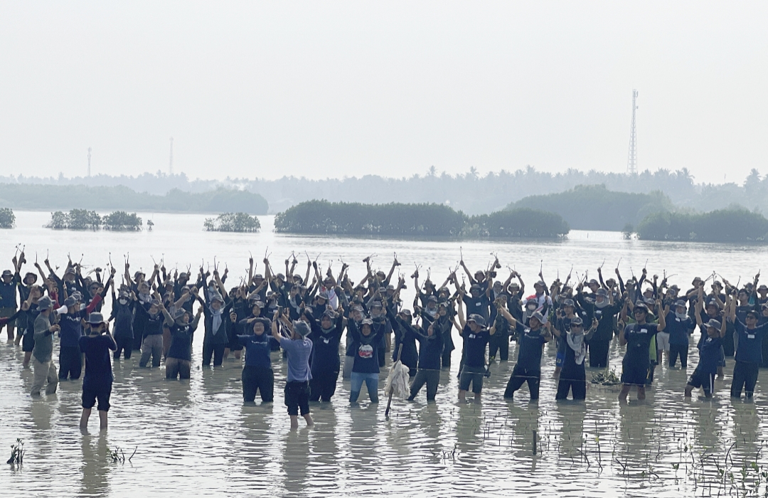 Paragonian Berkontribusi Lestarikan Lingkungan Dengan Menanam Pohon Mangrove 