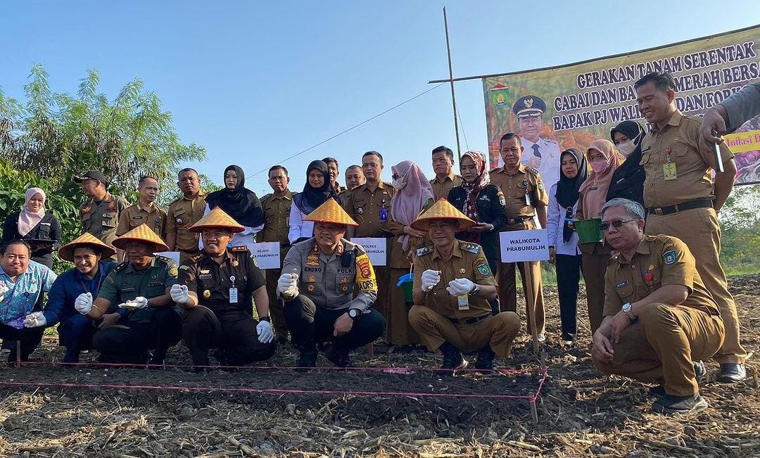 Pemkot Prabumulih Tanam Bawang, Hasilnya untuk Pasar Murah, Pj Wako: Jangan Ditunda Lagi