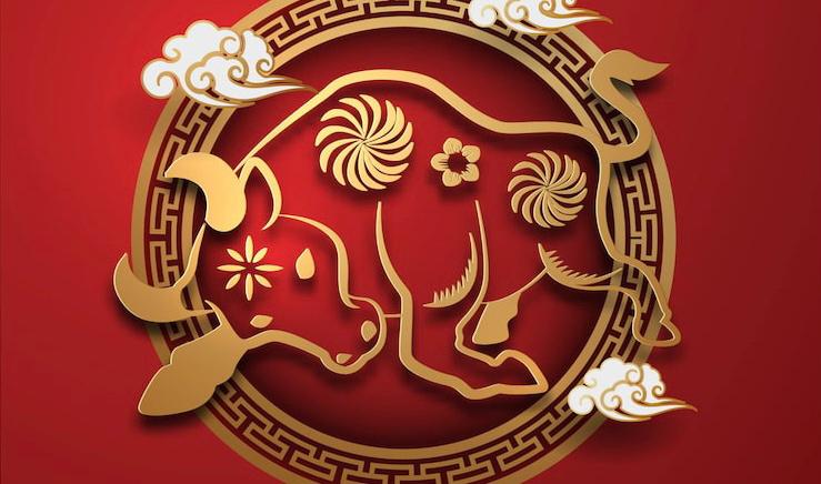 Ramalan Shio 14 Februari 2026, Monyet Percaya Dirilah Hari Ini