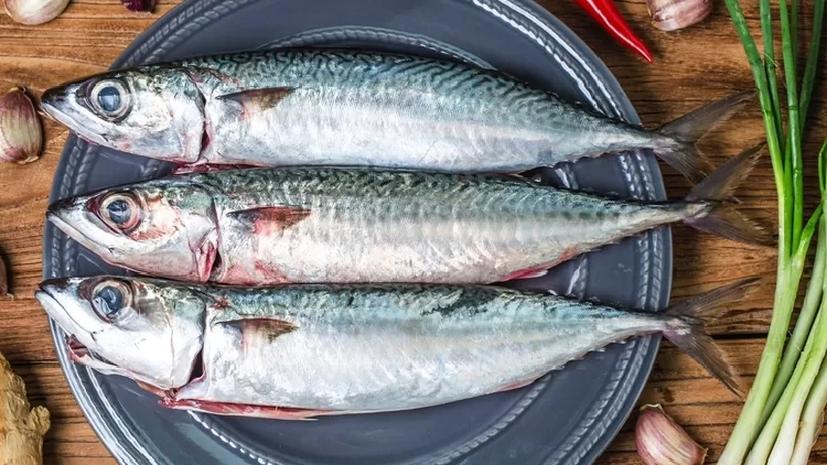 Simak! 5 Makanan yang Mampu Meningkatkan Kesehatan Tulang