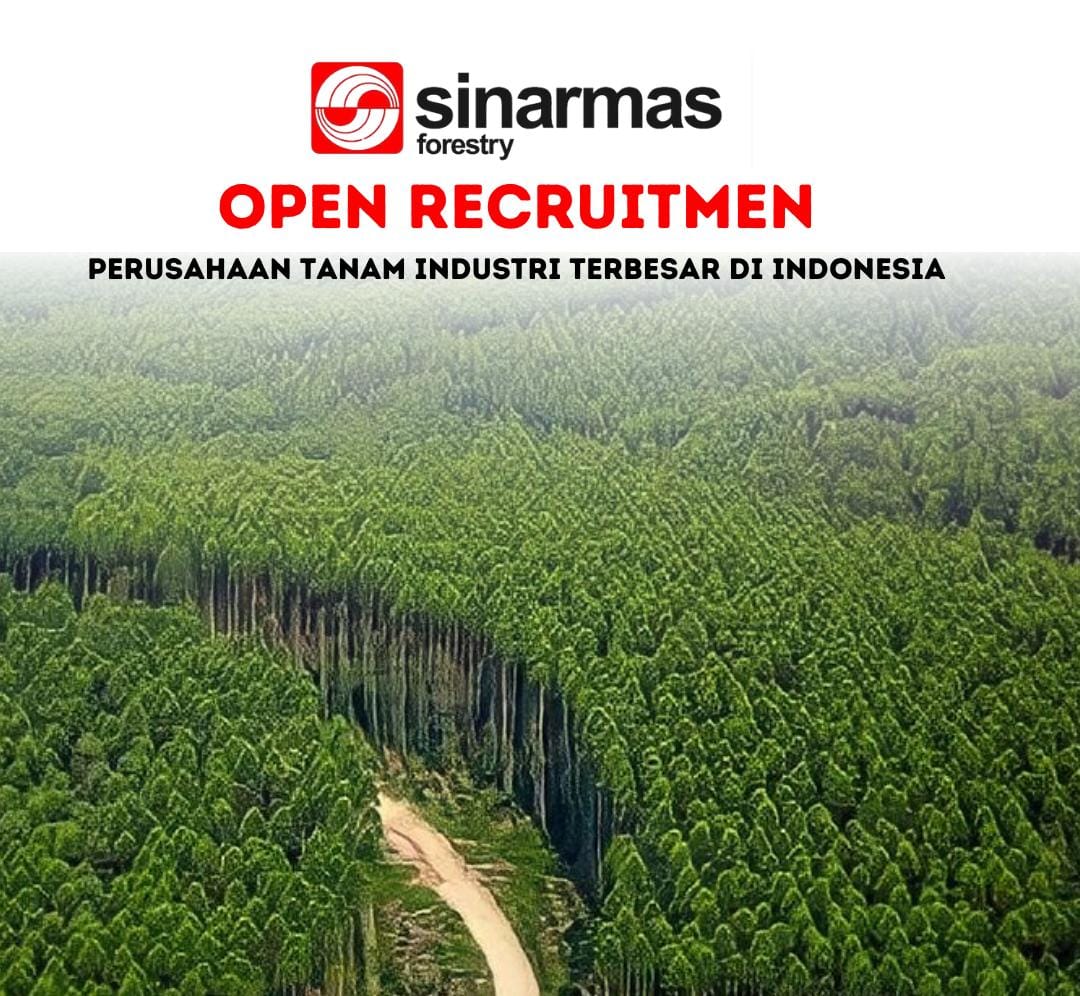 Peluang untuk Sarjana, Sinarmas Forestry Perusahaan Hutan Tanam Industri Terbesar Indonesia  Buka Lowongan Ker
