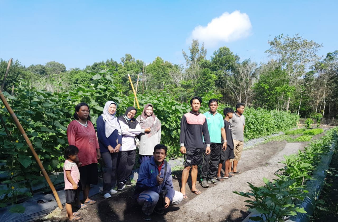 Selesai Panen Timun, Poktan Jaya Bersama Bersiap Panen Terong