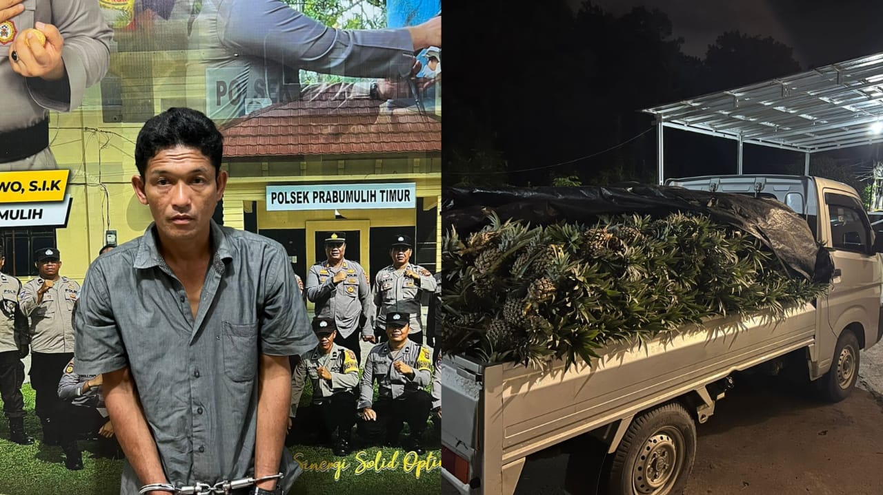Pelaku Pencurian Nanas di Karang Jaya Ditangkap, Kerugian Capai Rp7 Juta
