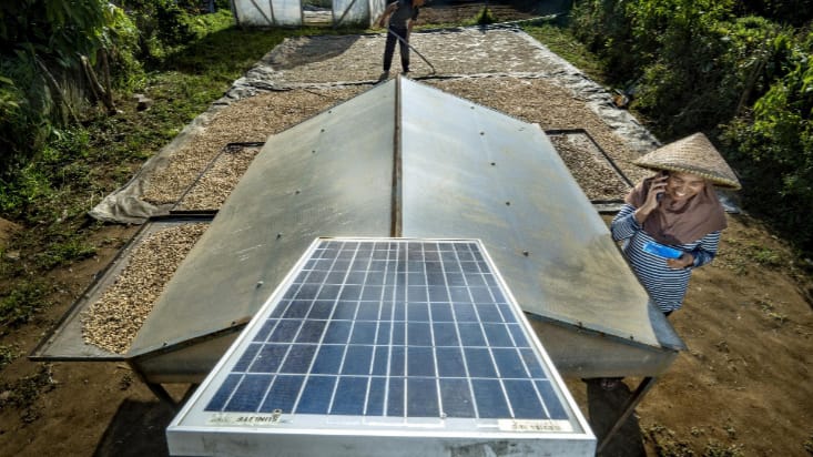 Wujudkan Komitmen Sebagai World-Class Sustainable Banking Group, BRI Perkuat Kontribusi terhadap SDGs