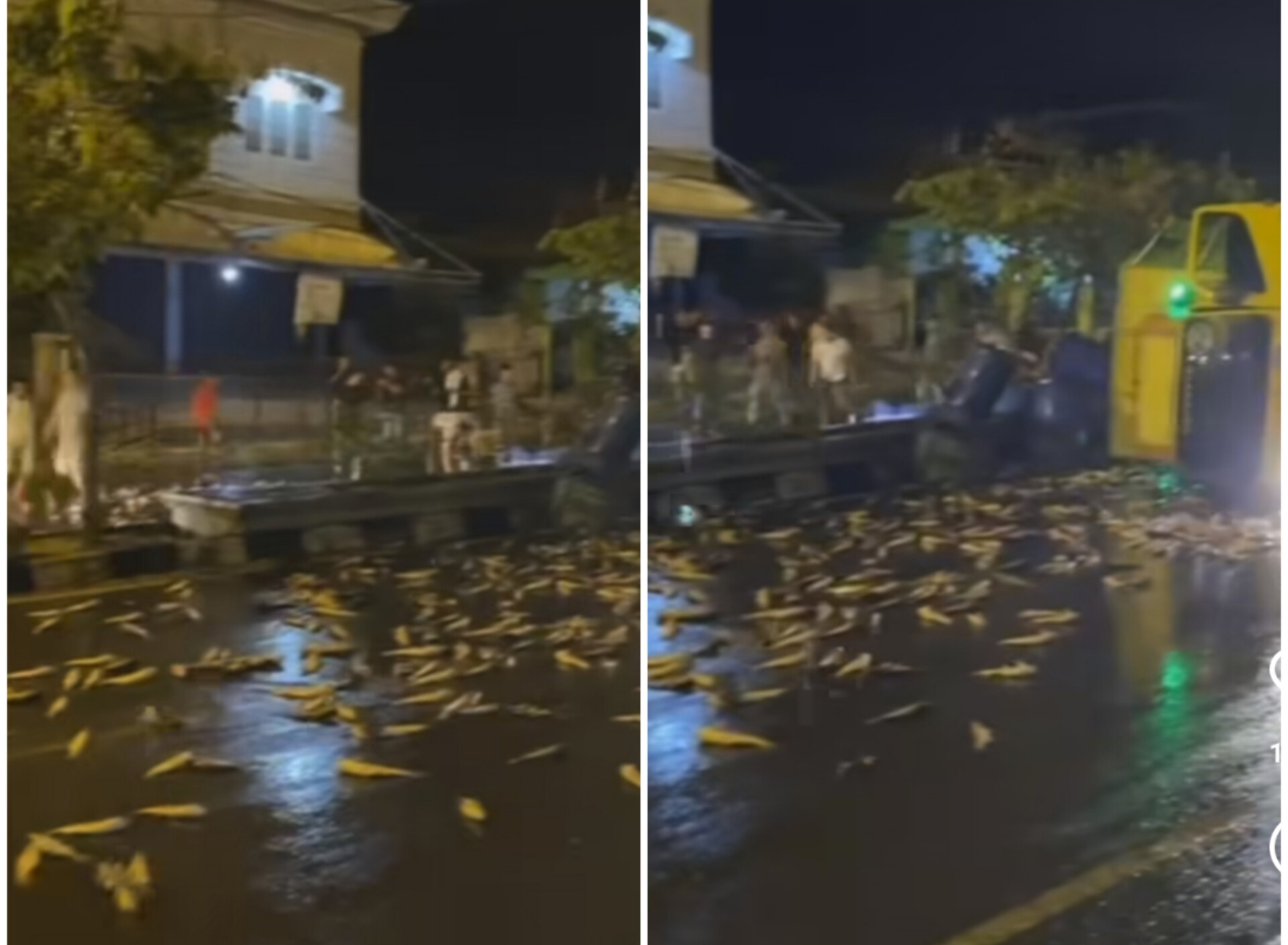 Truk Terguling Ikan Patin Tumpah di Sudirman Prabumulih, Netizen: Banyak Korban Bergelimpangan 