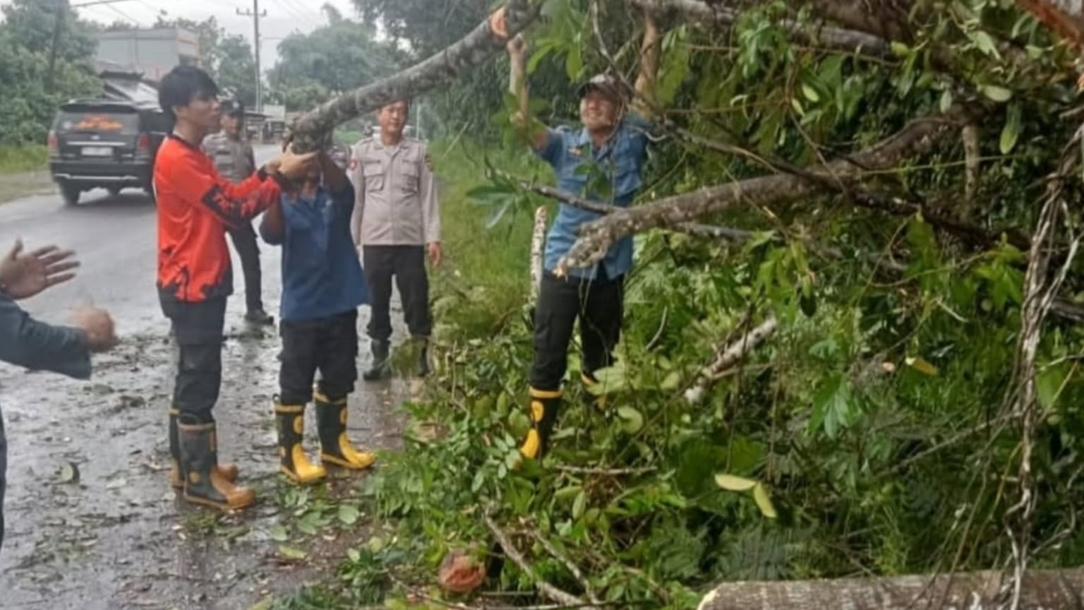 Respon Cepat BPBD Prabumulih, Pohon Tumbang dan Sarang Tawon Dievakuasi