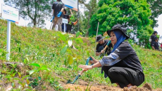 Pulihkan Hutan Bekas Tambang, Aksi Nyata Kelompok Tani Selamatkan Lingkungan Bersama BRI Menanam-Grow & Green