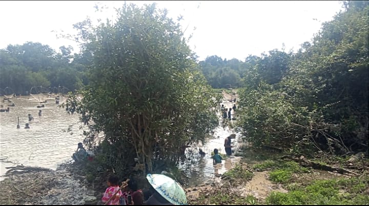 Tradisi Bekarang Masih Lestari, Ratusan Warga Jiwa Baru Turun ke Sungai Tangkap Ikan