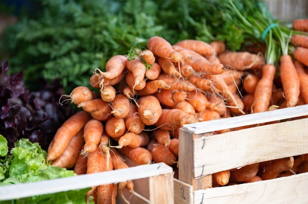 Harga Sayur di Pasar Inpres Prabumulih: Wortel Masih Mahal, Namun Beberapa Komoditas Stabil