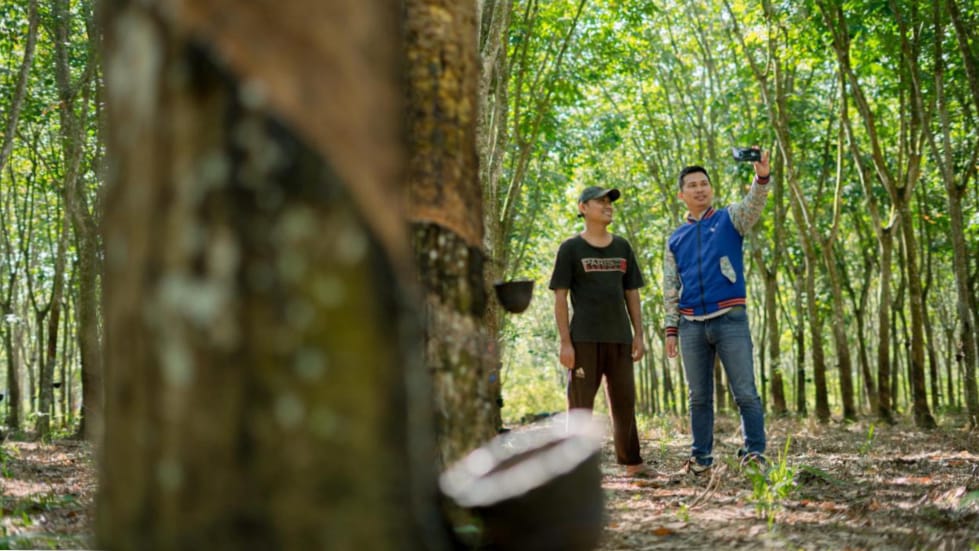 UMKM BRI Q3-2025 Masih Ekspansif, Optimisme Pelaku Usaha Meningkat