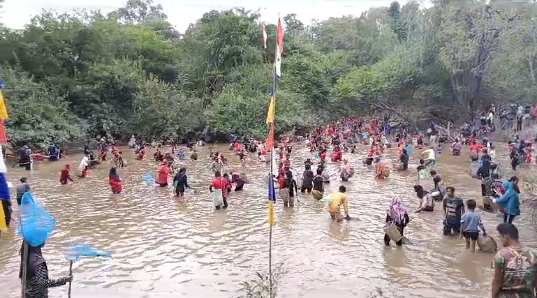 Seru dan Unik! Desa Talang Batu Gelar Lomba Naggok Ikan di Danau Pao;  Melestarikan Budaya 