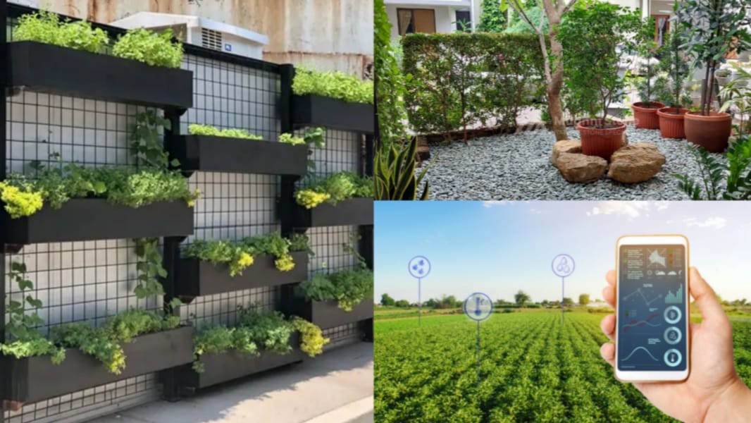 Transformasi Rumah Jadi Oase: Tren Taman Indoor 2026 yang Wajib Dicoba