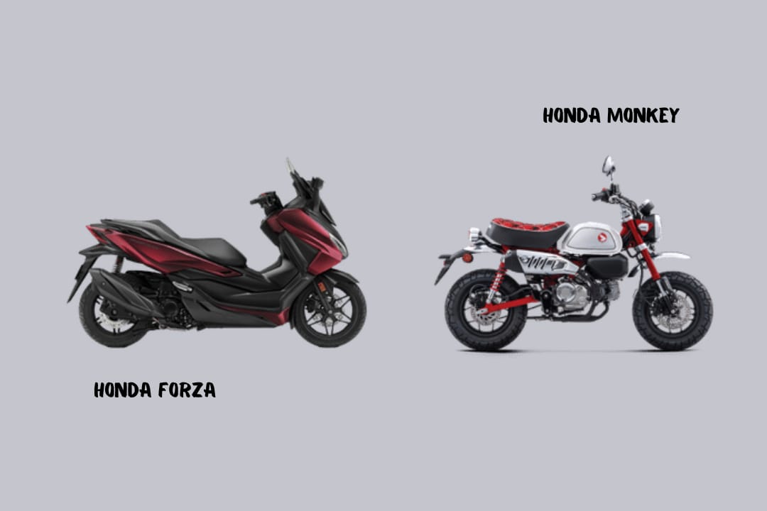 Motor Matic Honda Forza Jadi Pesaing Motor Sport Honda Monkey, Ini Speknya