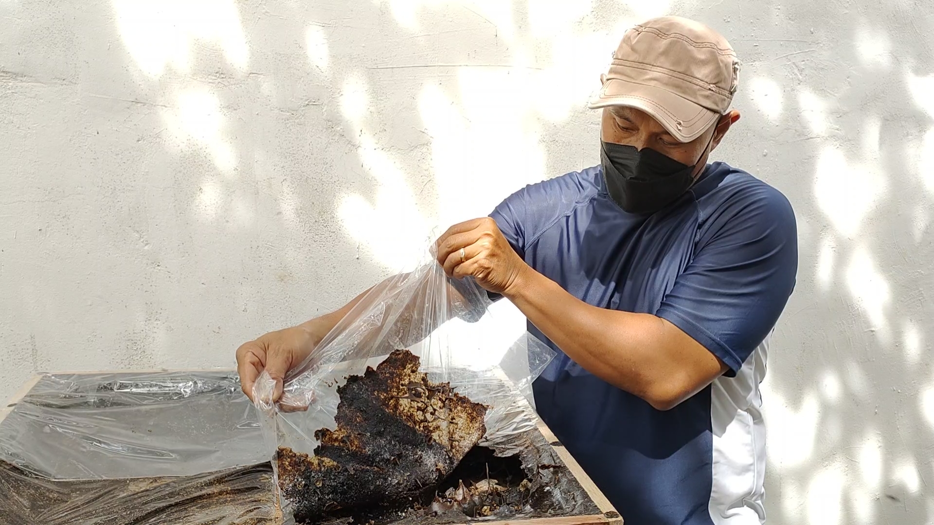 Ternak Lebah Madu Klanceng, Yandi Sulap Halaman Rumah jadi Lahan Cuan