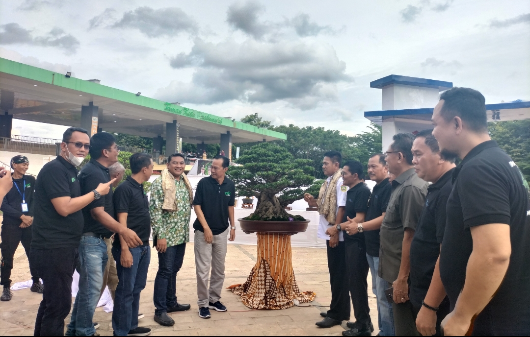 Ratusan Bonsai Ikut Pamnas di Prabumulih