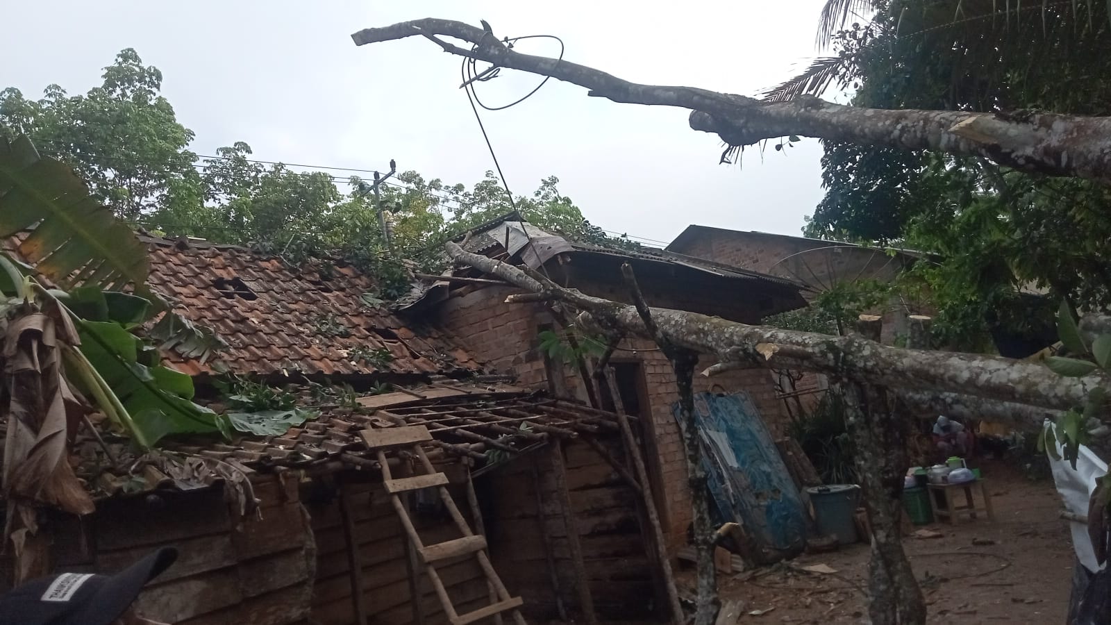 Puting Beliung Ngamuk, Rumah Warga di Desa Talang Batu Prabumulih Tertimpa Pohon 