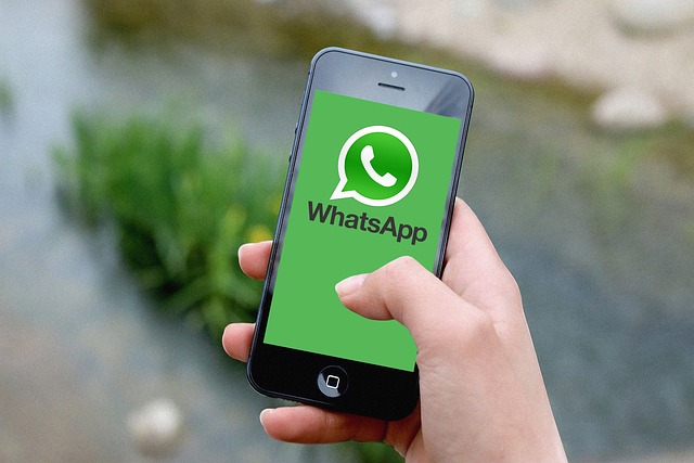 Fitur Baru WhatsApp! Pilih Peserta Panggilan Grup dan Efek Video Menarik untuk Liburan