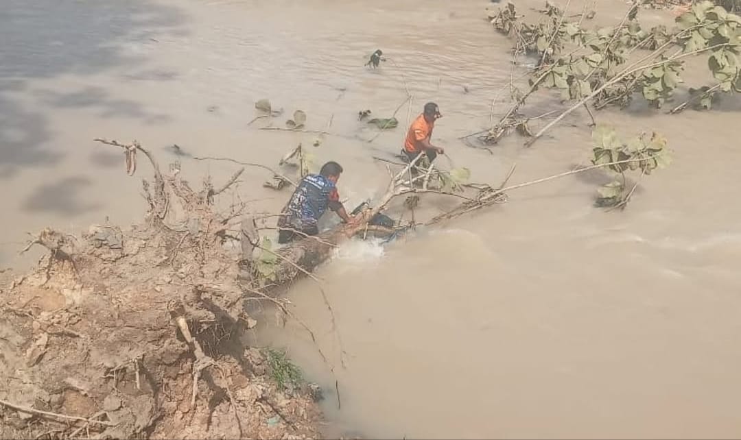 Pohon Tumbang Hambat Aliran Sungai Kelekar, BPBD Prabumulih Segera Evakuasi