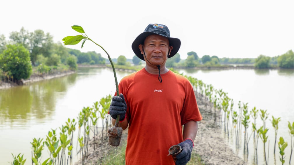 Peringati Hari Mangrove Sedunia, BRI Pertegas Komitmen Selamatkan Lingkungan Lewat Perbaikan Ekosistem Pesisir