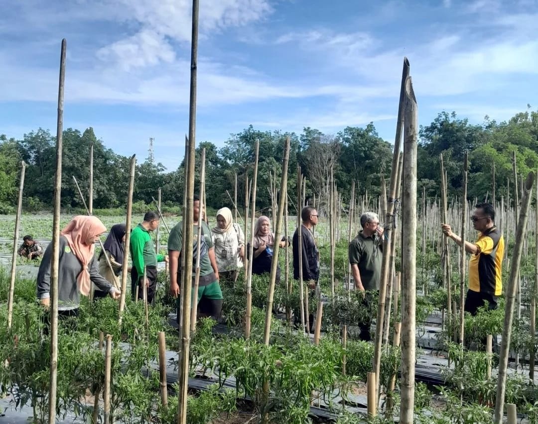 Meningkatkan Ketahanan Pangan, Prabumulih Bangun Kolam Ikan dan Bioflok