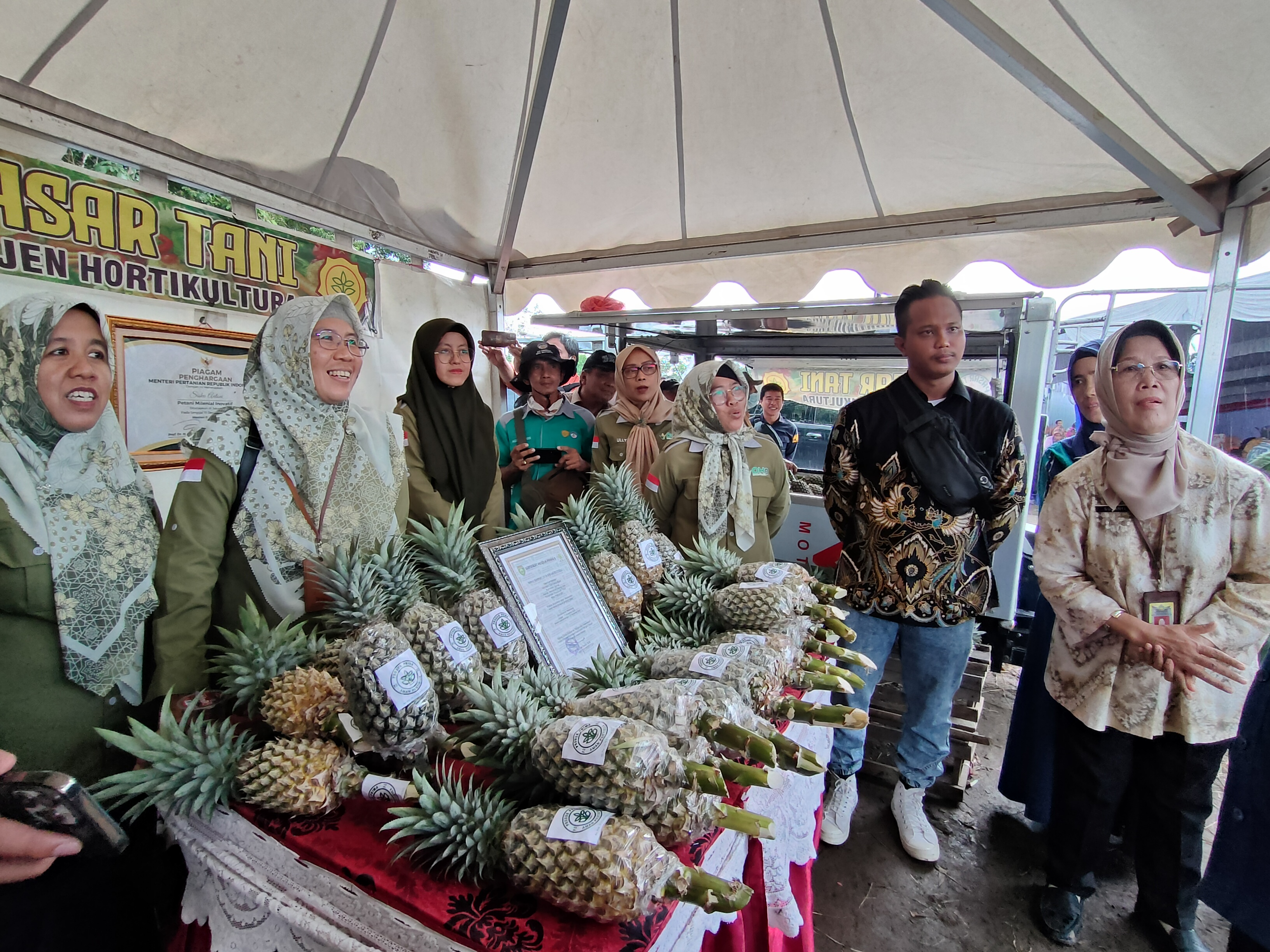 Nanas Prabumulih Termanis di Indonesia 