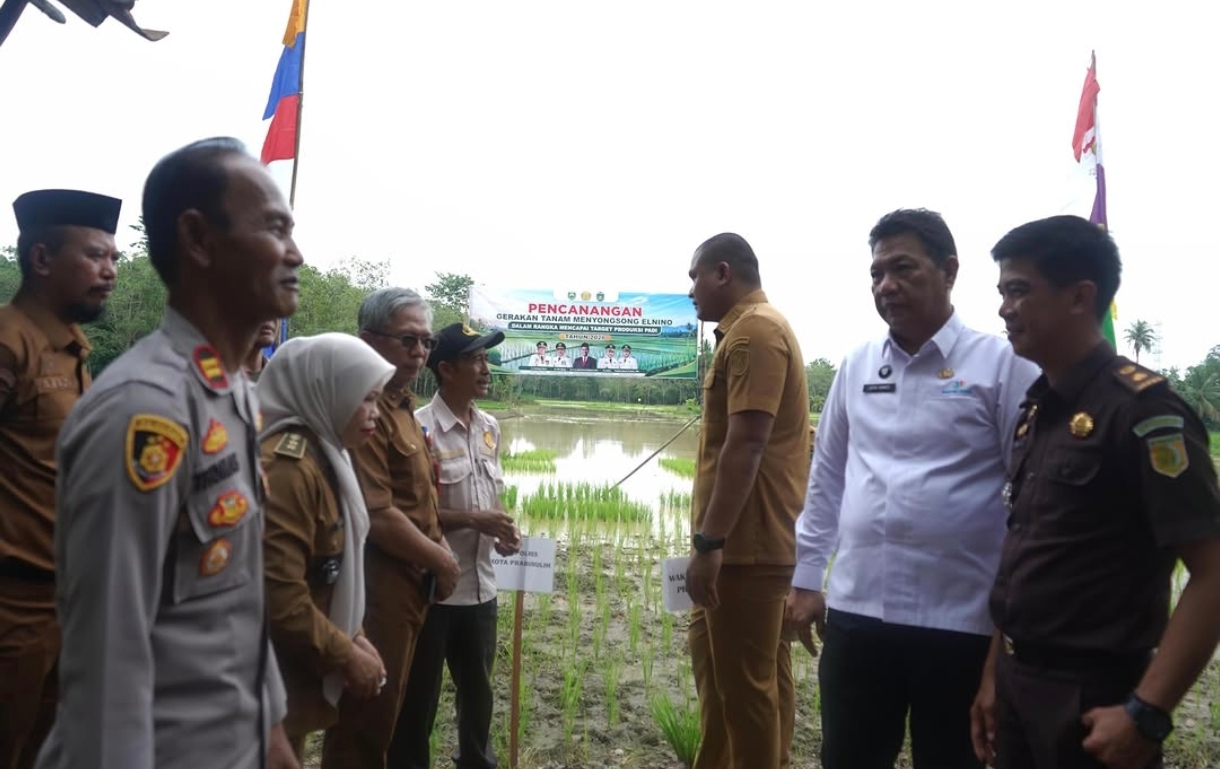 Prabumulih Gerak Cepat Hadapi El Nino 2026, Tanam Padi Jadi Strategi Utama