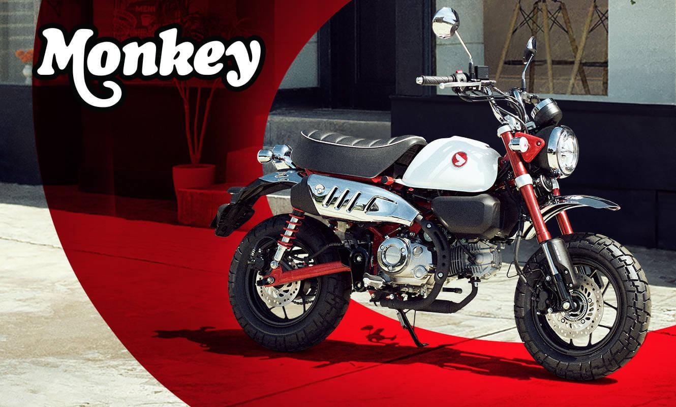 Waktunya Coba Gaya Baru, Honda Monkey Jadi Primadona dengan Banyak Keunggulan