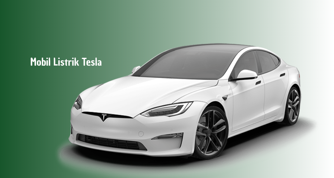 Bocor! Tesla Siapkan Dua Mobil Listrik Murah, Harga Mulai Rp600 Jutaan