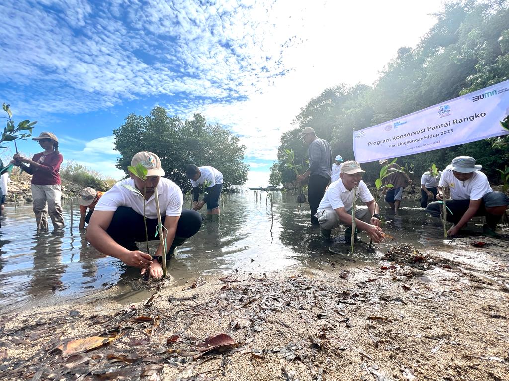 Peringati HLHS, PLN NTT Gelar Tanam 2000 Manggrove dan Aksi Bersih-Bersih Pantai