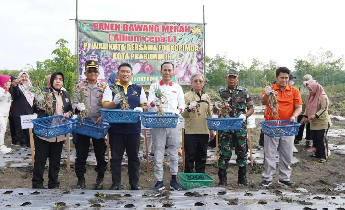 Panen Perdana Bawang Merah, Solusi Inflasi di Prabumulih