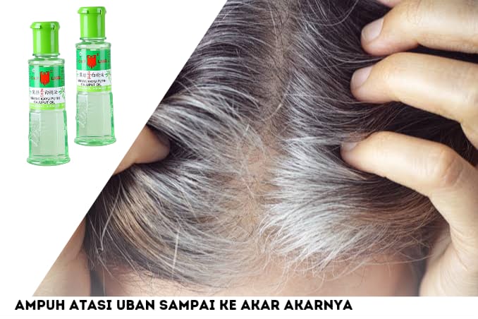 Pakai Minyak Kayu Putih Cap Lang, Cara Ampuh Hilangkan Rambut Putih Beruban