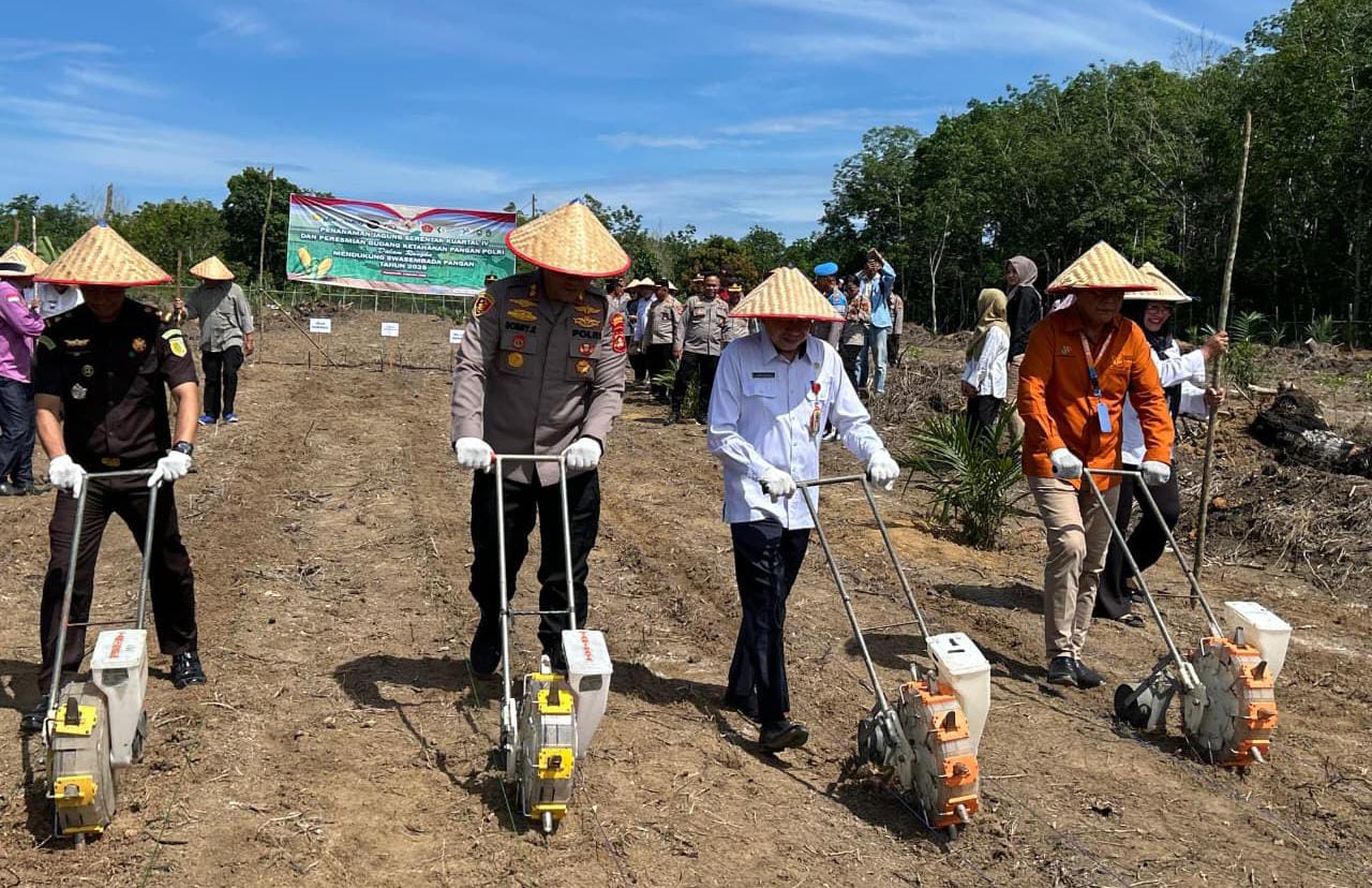 Polres Prabumulih Bersama Forkopimda Tanam Jagung Serentak, Dukung Ketahanan Pangan Nasional