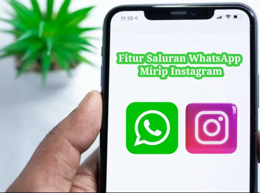 KEREN! Fitur Saluran WhatsApp Mirip Instagram, Mau Coba Ini Caranya 