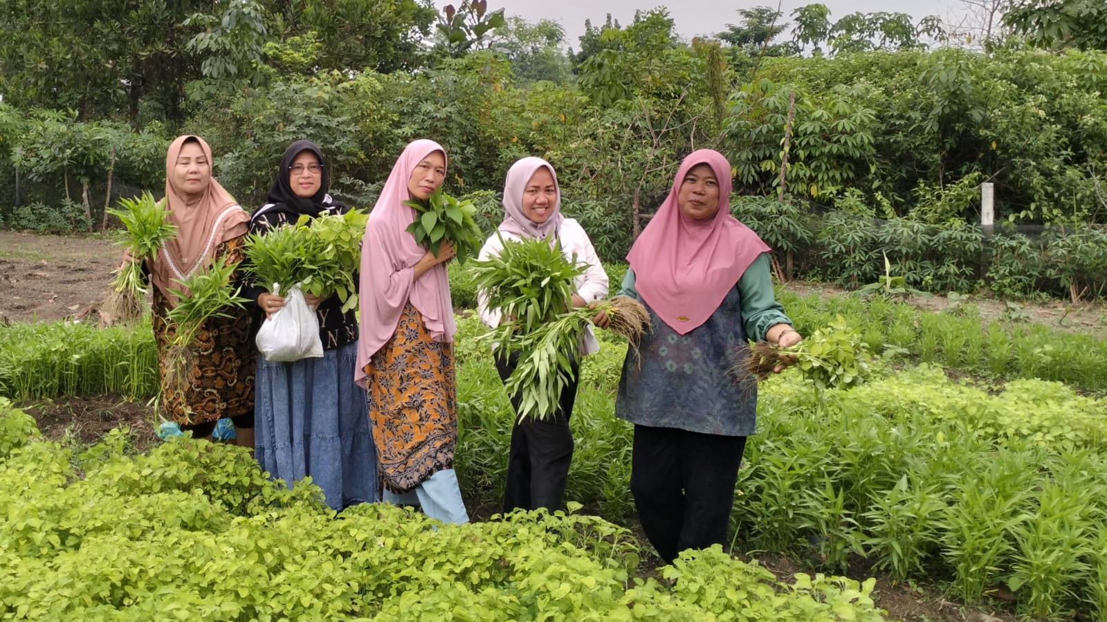 Manfaatkan Lahan Kosong, 4 KWT Aktif di Gunung Ibul Kota Prabumulih 