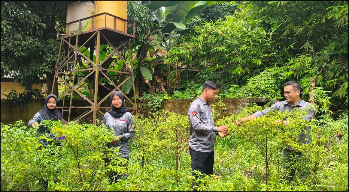 Halaman Kantor Jadi Ladang Produktif: Polres Prabumulih Panen Cabai & Kacang Panjang