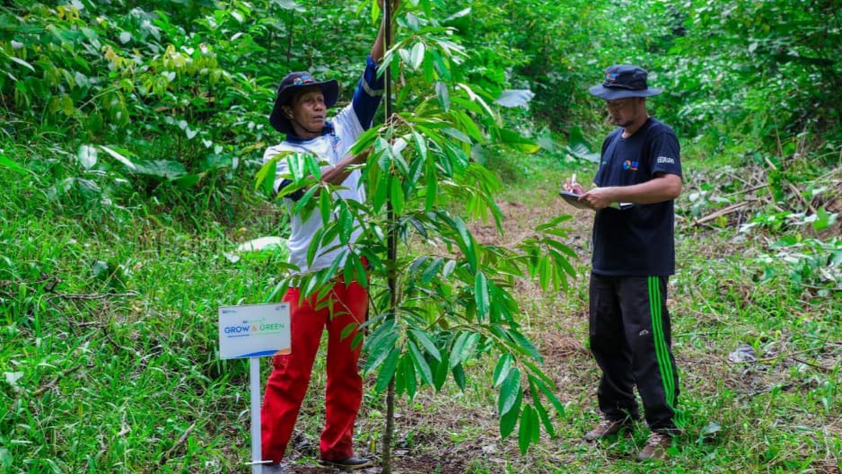 Peringati Hari Lingkungan Hidup Sedunia, BRI Pertegas Komitmen dalam Menjaga Ekosistem Lingkungan melalui BRI 