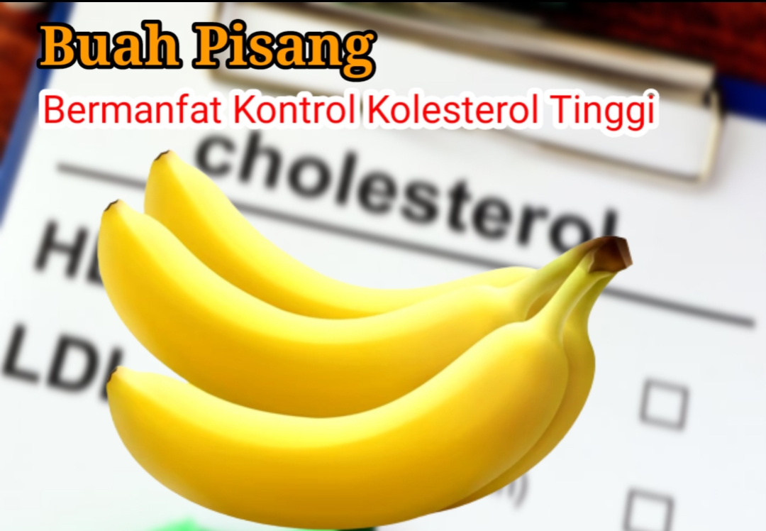 Kolesterol Tinggi? Tenang, Kontrol Dengan Buah Pisang Begini Sistem Kerjanya