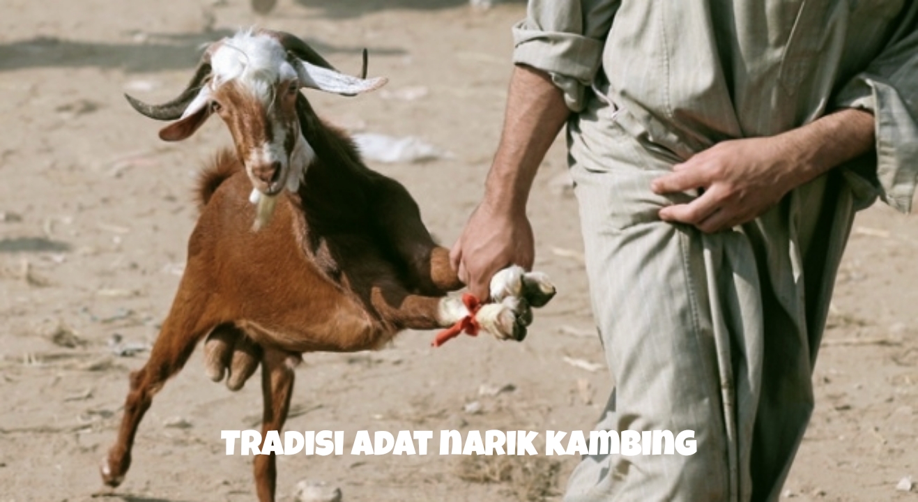 Mengenal Tradisi Adat Narik Kambing, Orang yang Sering Selingkuh Pasti Kapok