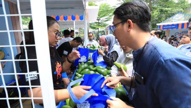 Berkat Program Pemberdayaan BRI Klasterku Hidupku, Petani Ini Berhasil Kembangkan Budidaya Alpukat