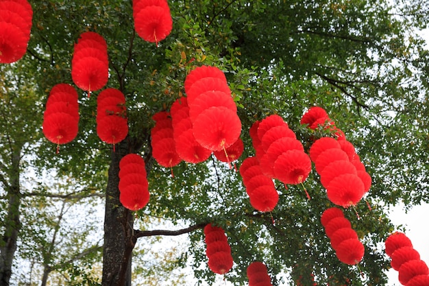 Mengungkap Makna Filosofis Lampion Merah di Perayaan Imlek