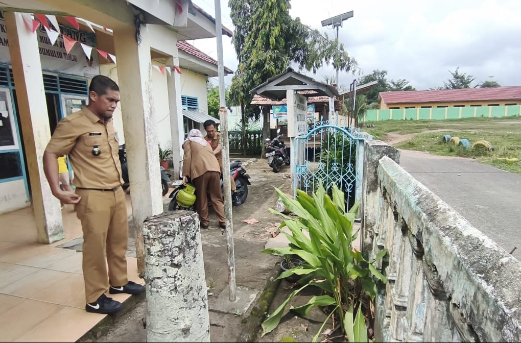 Tanam Kunyit dan Cempokak, Contoh Bercocok Tanam di Halaman Rumah